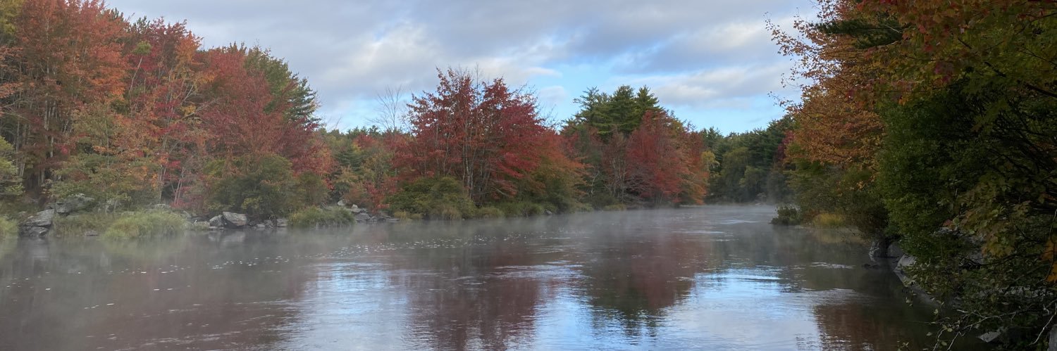 Natalie McMaster banner