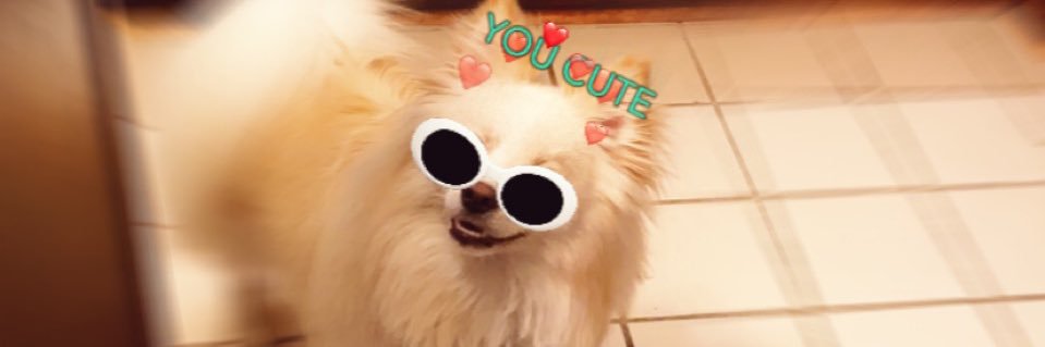 LilyFarnen's profile banner image