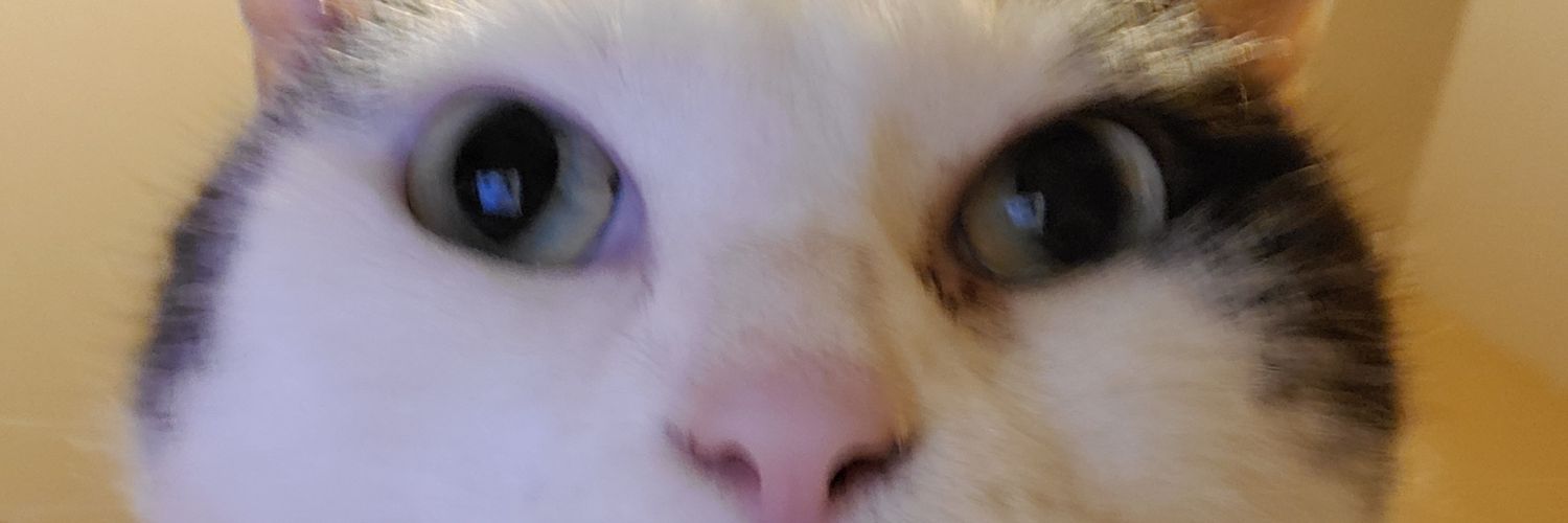 Overlord Chross banner