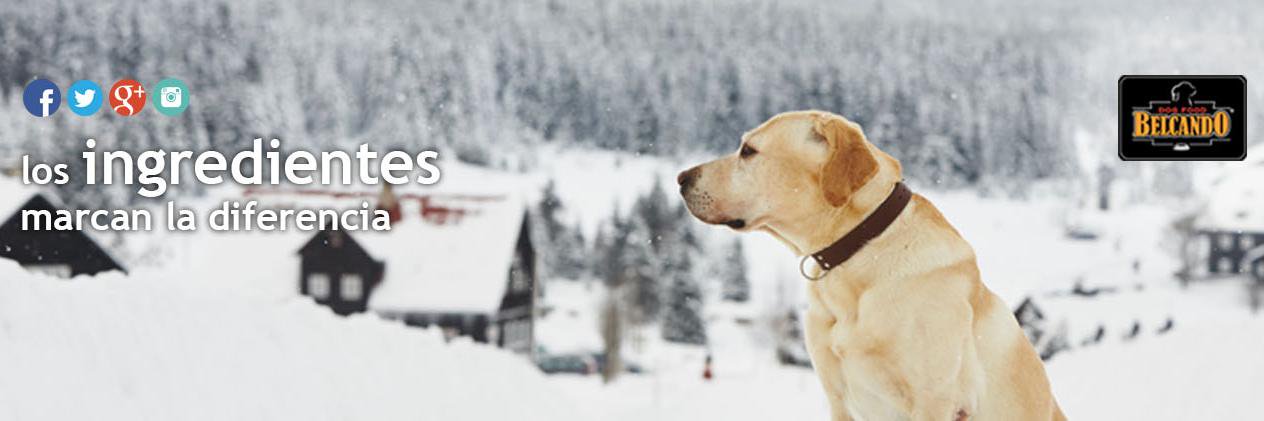 Belcando_ES's profile banner image