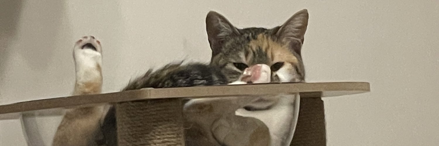 yourfavfob's profile banner image