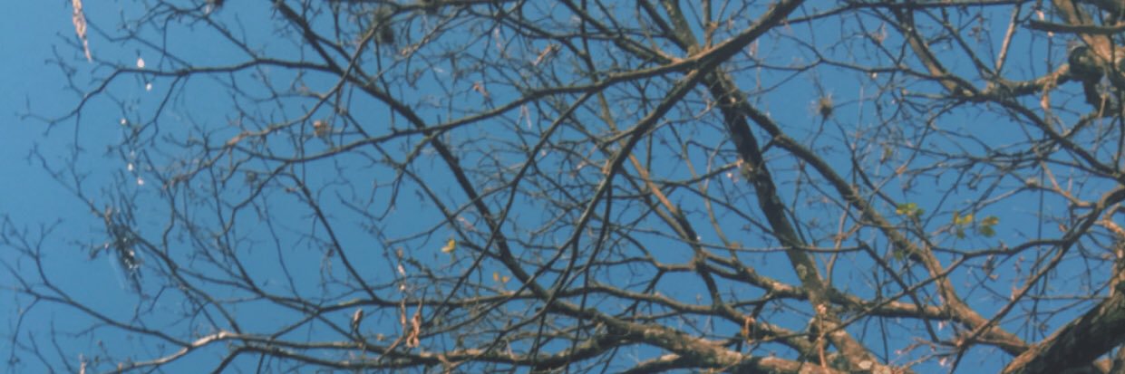 thaiennekeller1's profile banner image