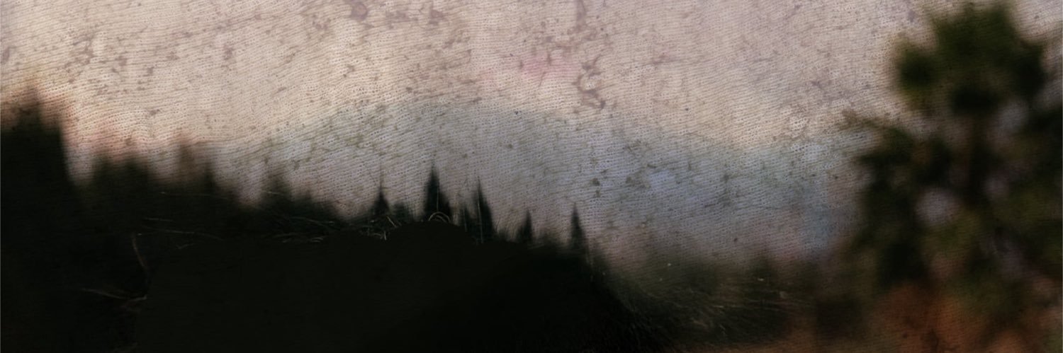 partyhelbig's profile banner image