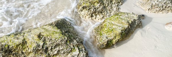 dharajchi Profile Banner