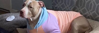 cierradad's profile banner image