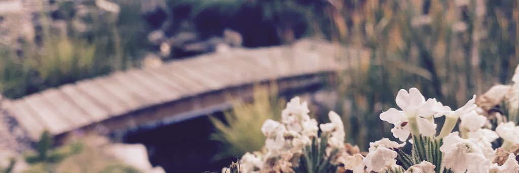 astacoffey's profile banner image