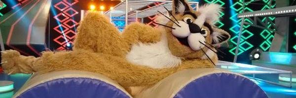 EhGatoCombate's profile banner image