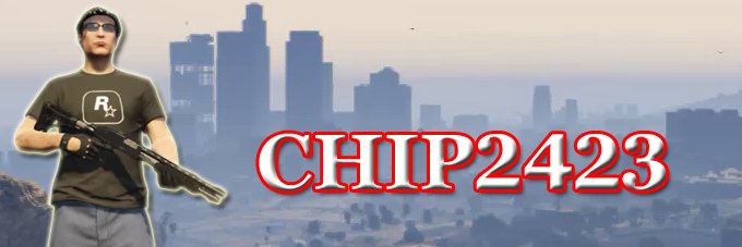 chip2423 banner