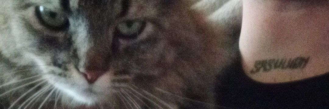 Raaawl's profile banner image