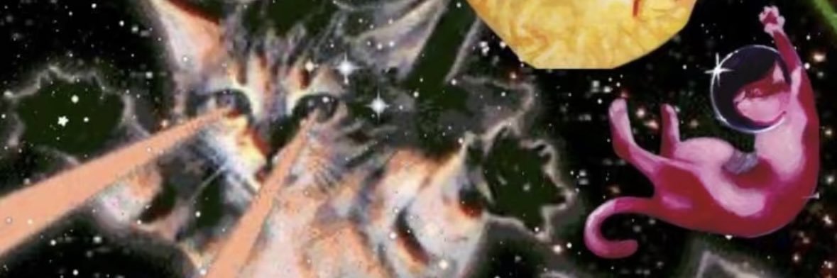 _chloewillis's profile banner image