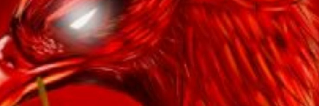 brantz147's profile banner image
