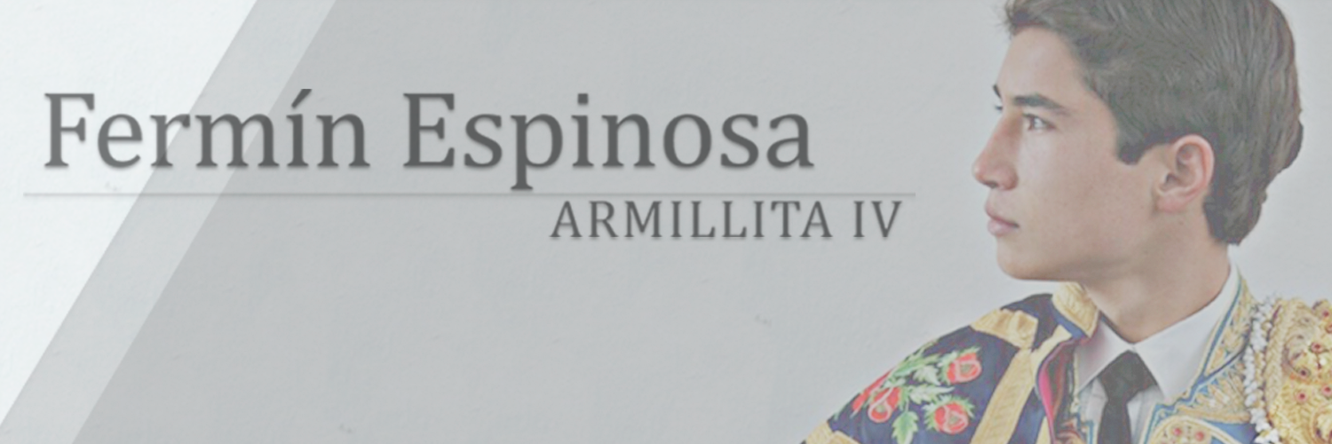 infoArmillitaIV's profile banner image