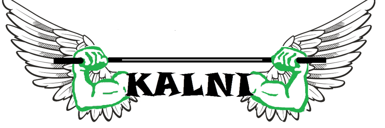 KalnuSW's profile banner image