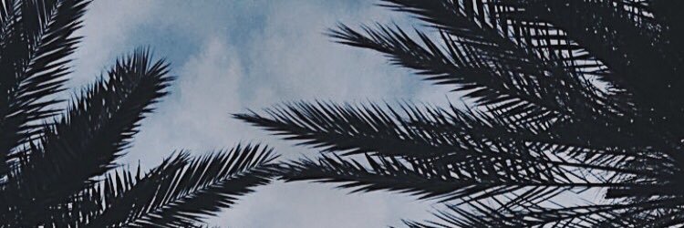 AlbertTorres__'s profile banner image