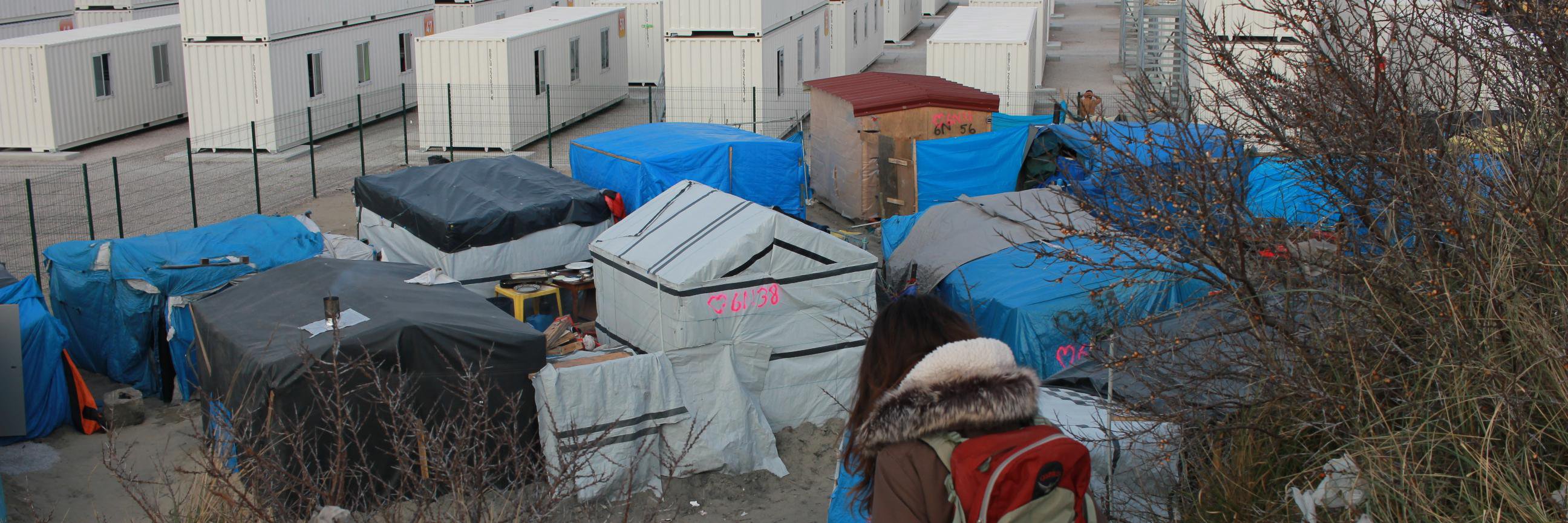 Molly S. Anders banner