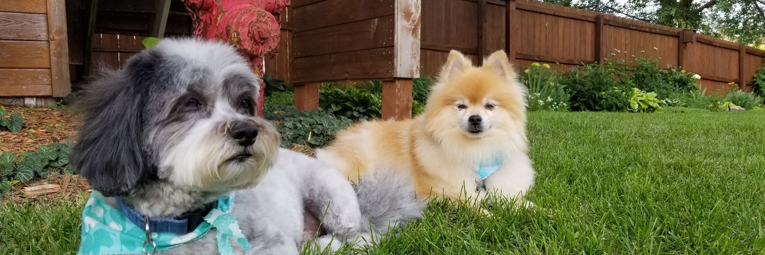 carterdewitt_'s profile banner image