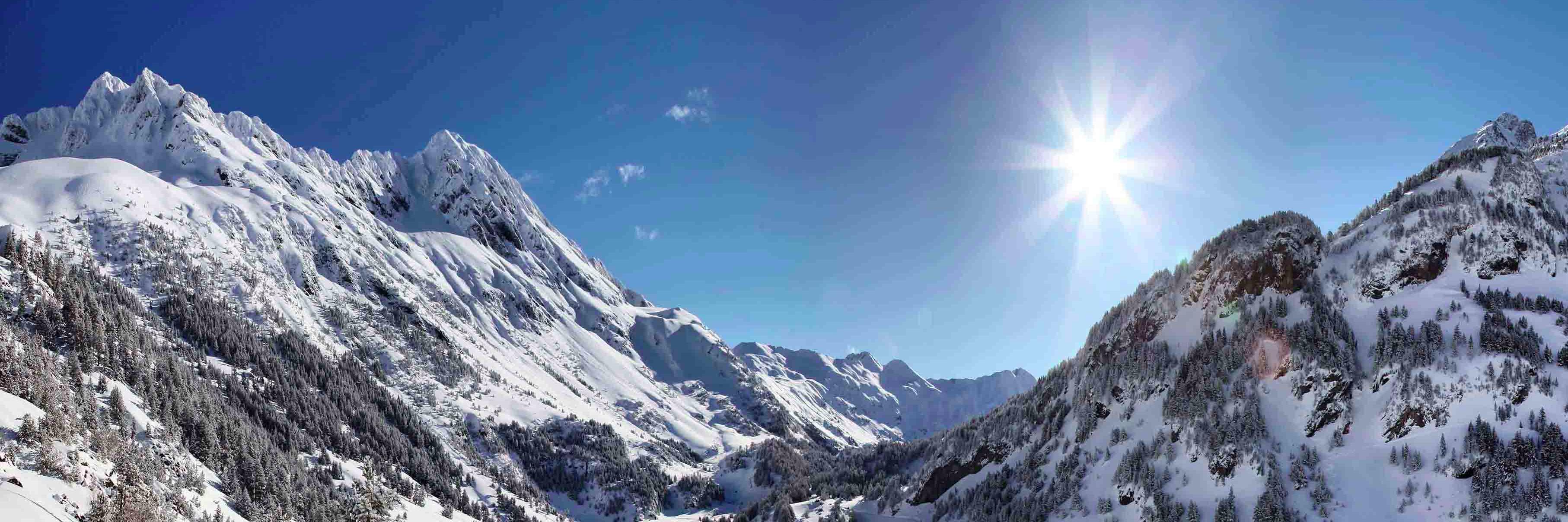 Ricardo Forcano banner