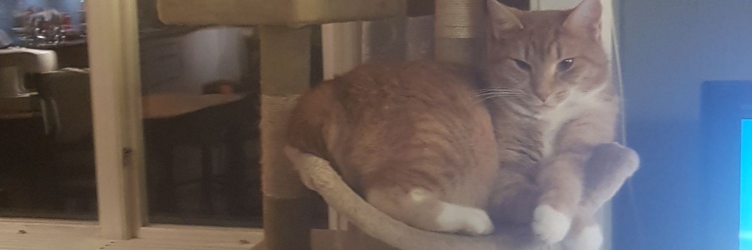 Jennyanne69's profile banner image