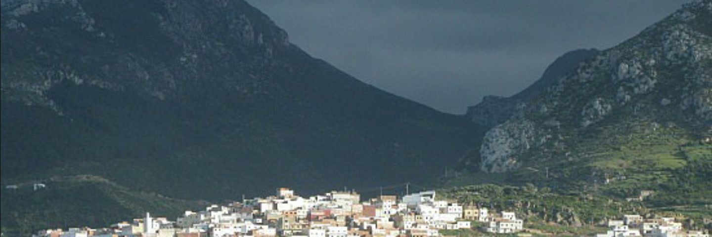 malika banner