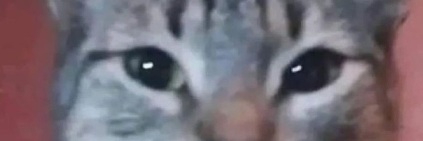 pepepepepec's profile banner image