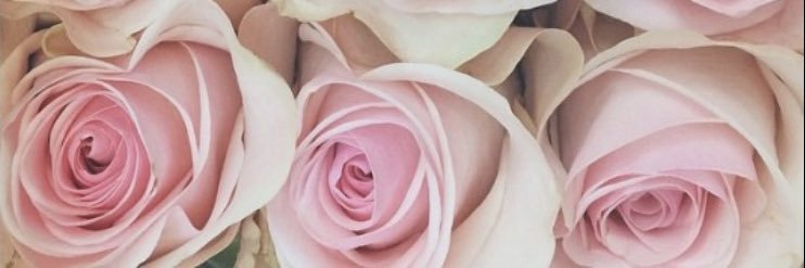 rochedonado's profile banner image