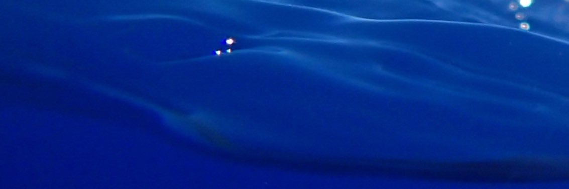 tsukitokumo's profile banner image