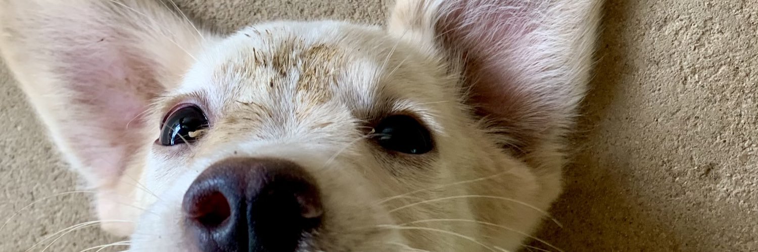 FerchoCotera's profile banner image