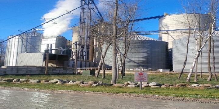 Collwest Grain banner