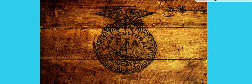 LenaweeTechFFA's profile banner image