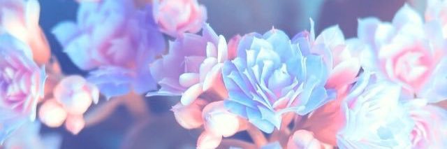 aylablackburn's profile banner image