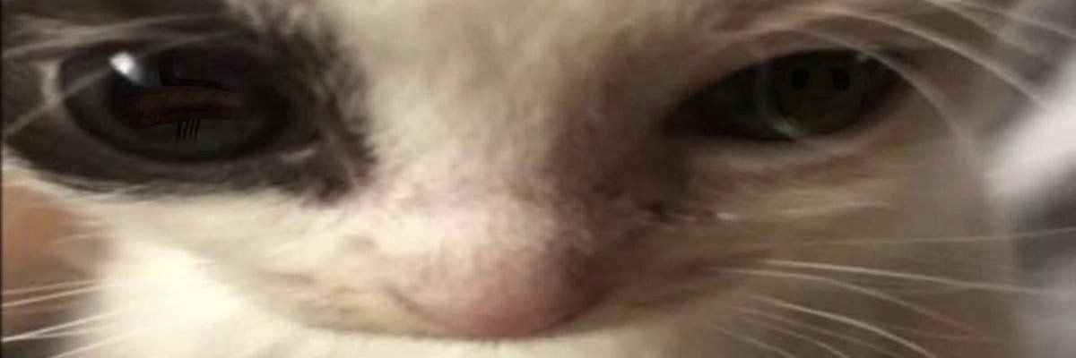 AllAloneTired's profile banner image