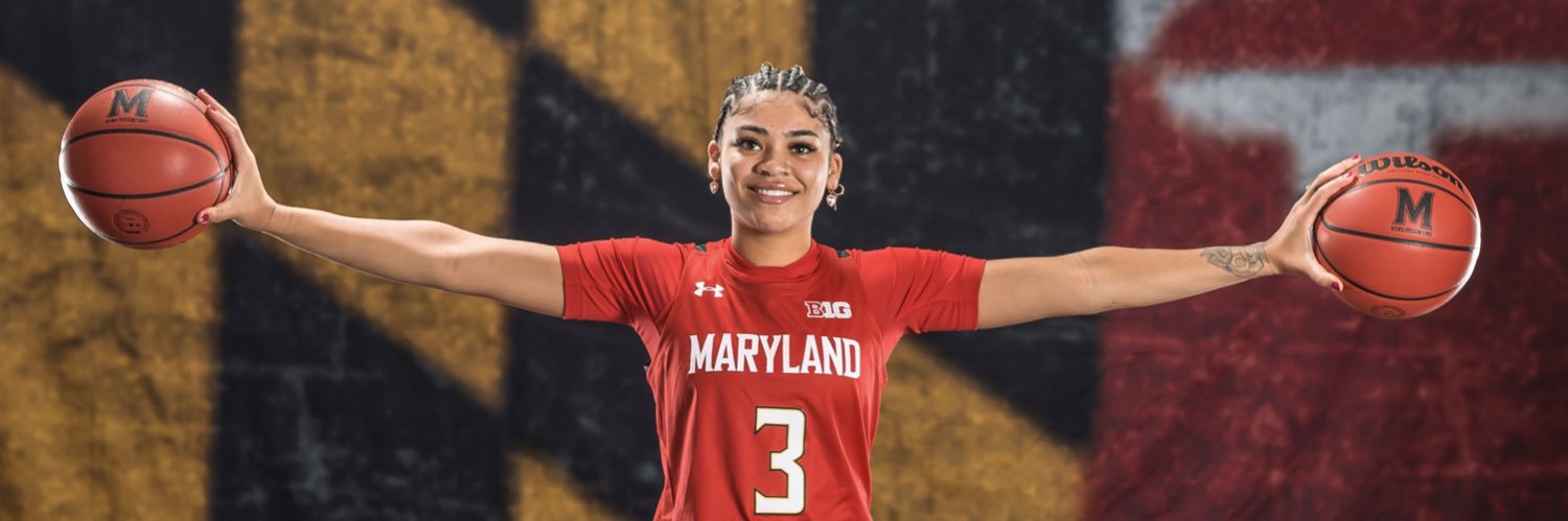 lavenderbriggs banner