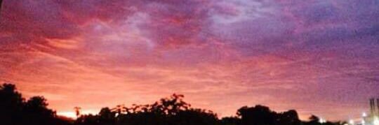 J_davidb01's profile banner image
