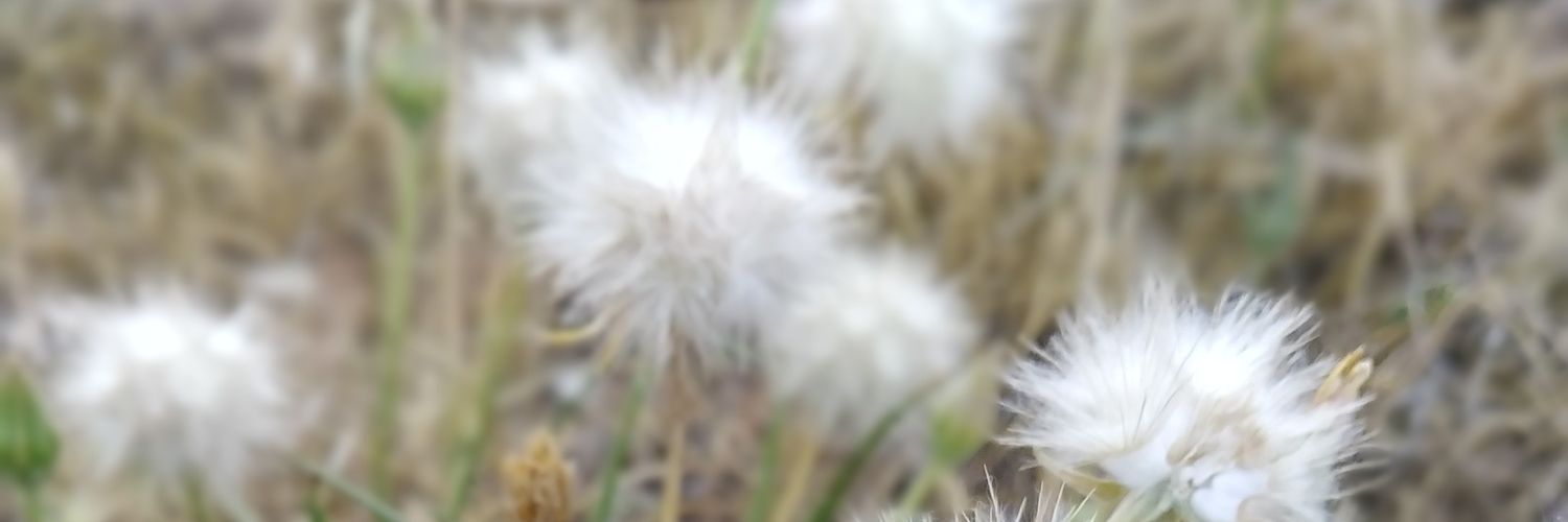 dem_evin's profile banner image