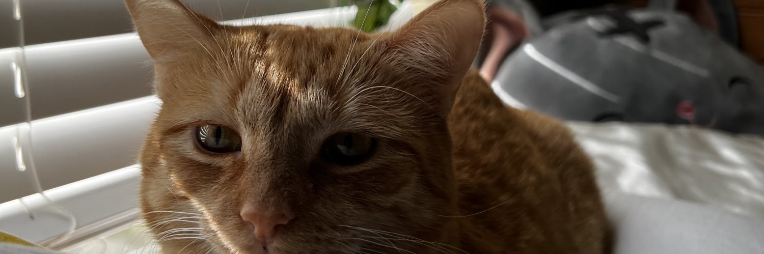 kelcci's profile banner image