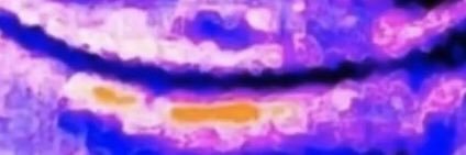 Niteppl's profile banner image