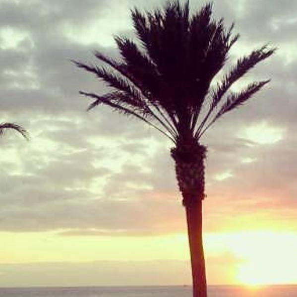 SarahhFos's profile banner image