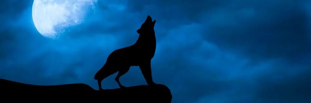 AdriMoonLuna's profile banner image