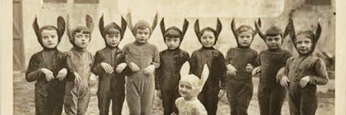 White Rabbit banner