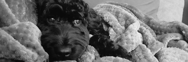 jelliott636 Profile Banner