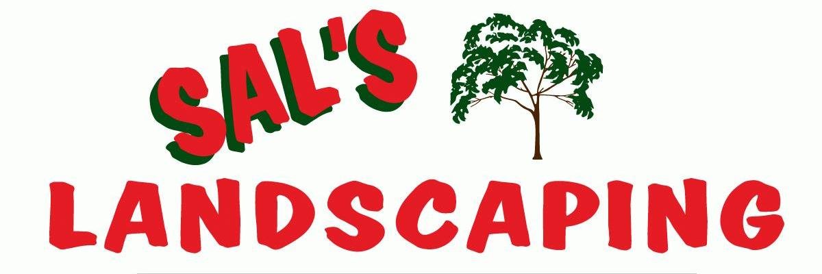 Sals_LCS_CO's profile banner image