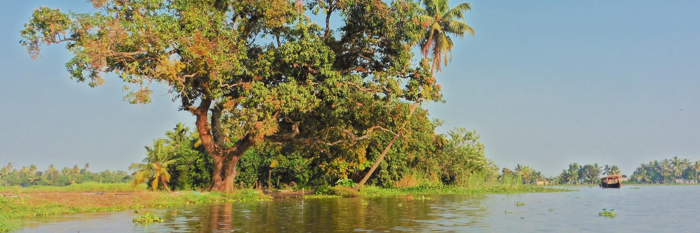 Arianna Tozzi banner