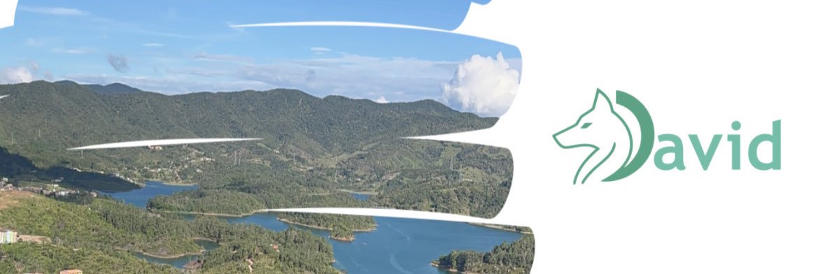 DavidELAlonso's profile banner image