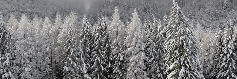 odalyslema1999's profile banner image