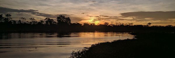 David_Simons_UK Profile Banner