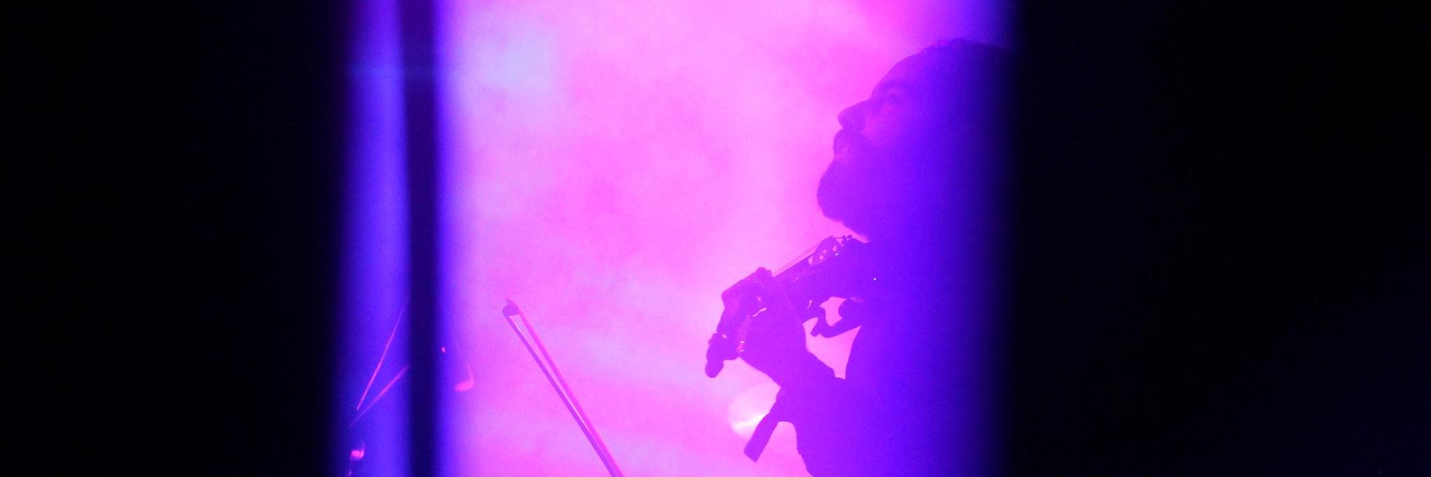 monoplancton's profile banner image