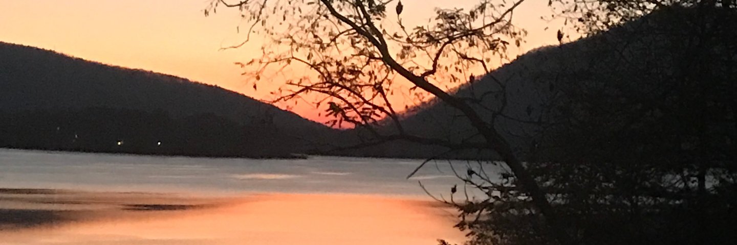 Chris Coughlin banner