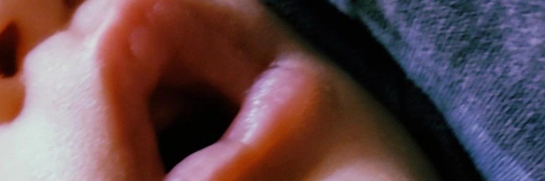 Stef banner