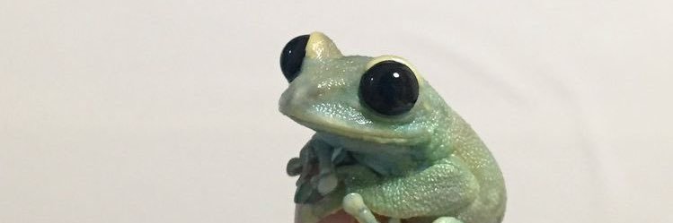 bevisksh's profile banner image