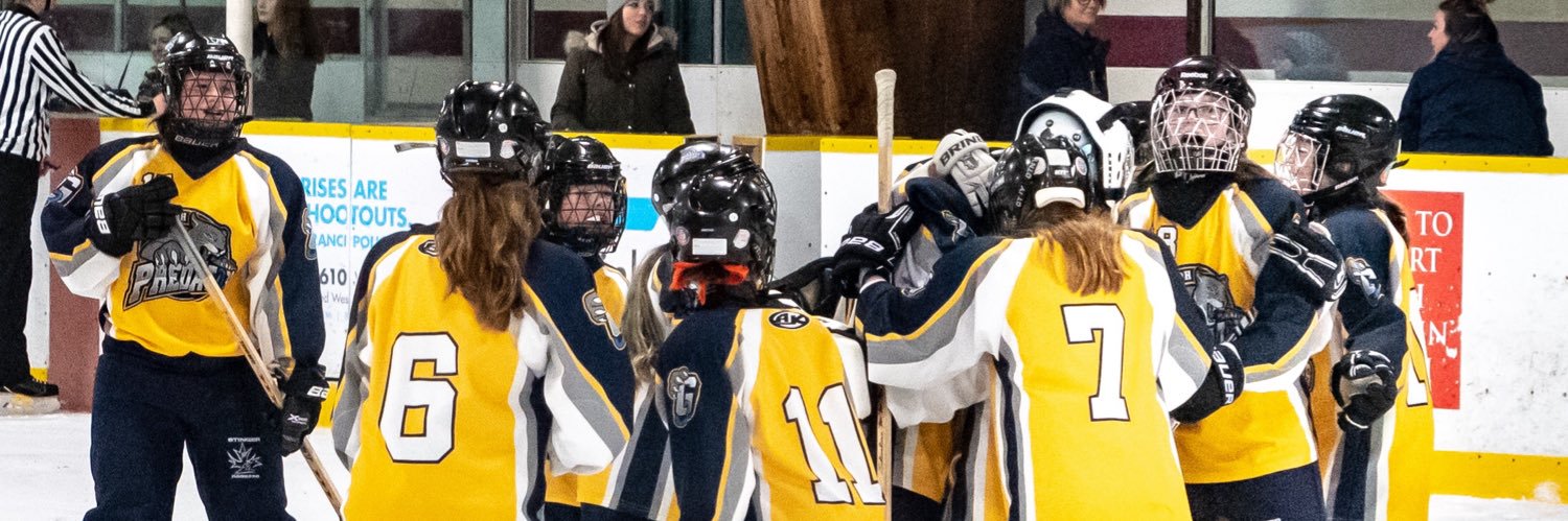 Guelph Predators banner